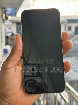 Apple iPhone 15 Pro Max 256 GB Gray
