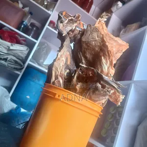 Stock Fish