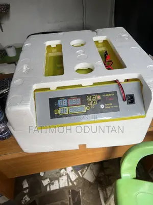 56 Eggs Incubator