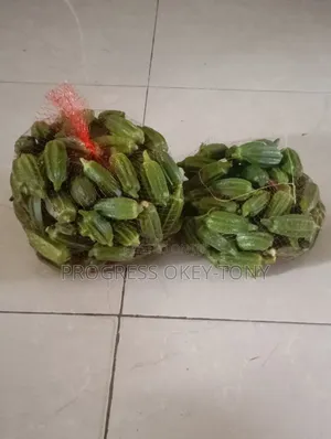 Organically Grown Okra