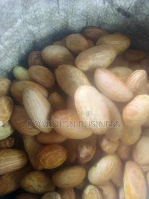 Bitter Kola (Garcinia Kola)