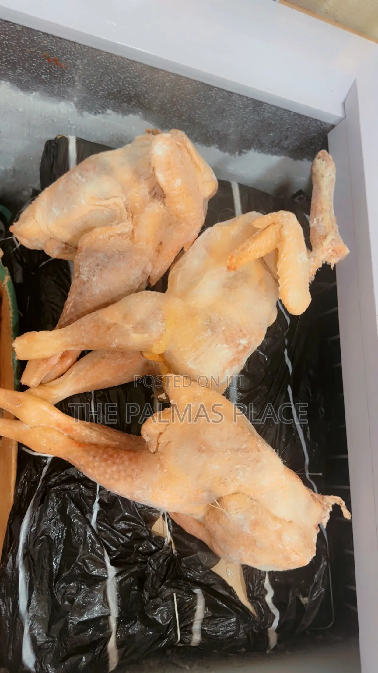 Frozen Foods