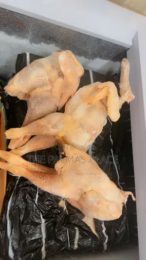 Frozen Foods