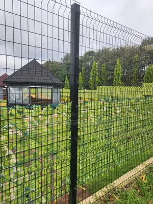 Wire Mesh Fence