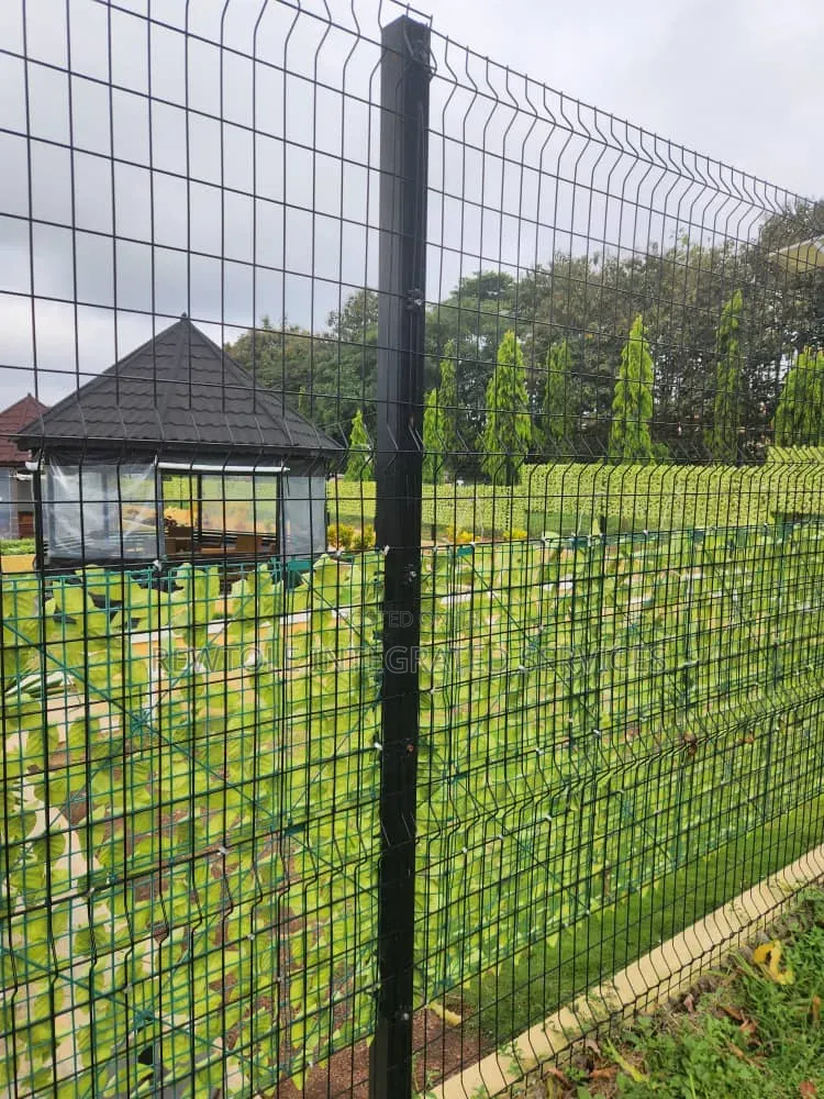 Wire Mesh Fence