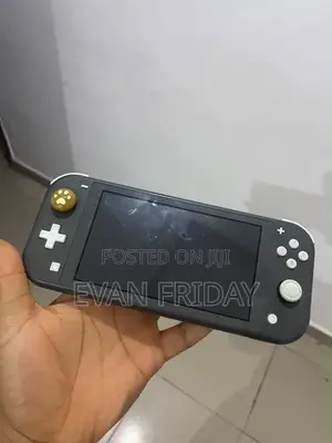 Nitendo Switch Lite