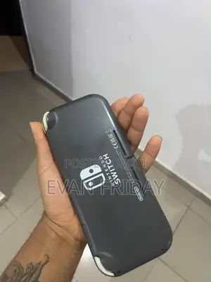 Nitendo Switch Lite