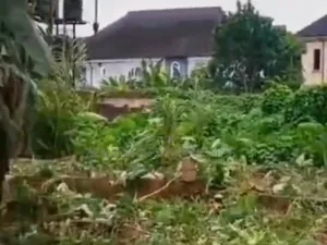 1 Prime Plot for Sale in Ehimmiri Housing Estate, Umuahia