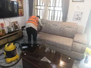 Sofa/ Carpet Rug Cleaning