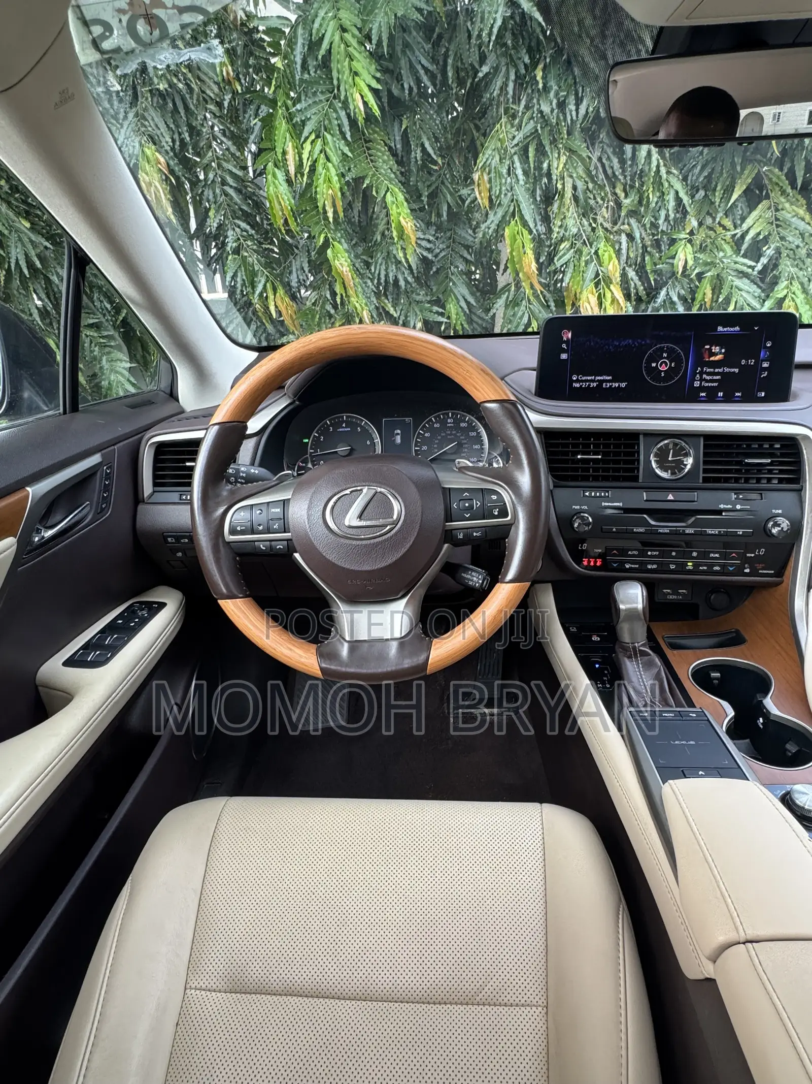 Lexus RX 2020 Blue