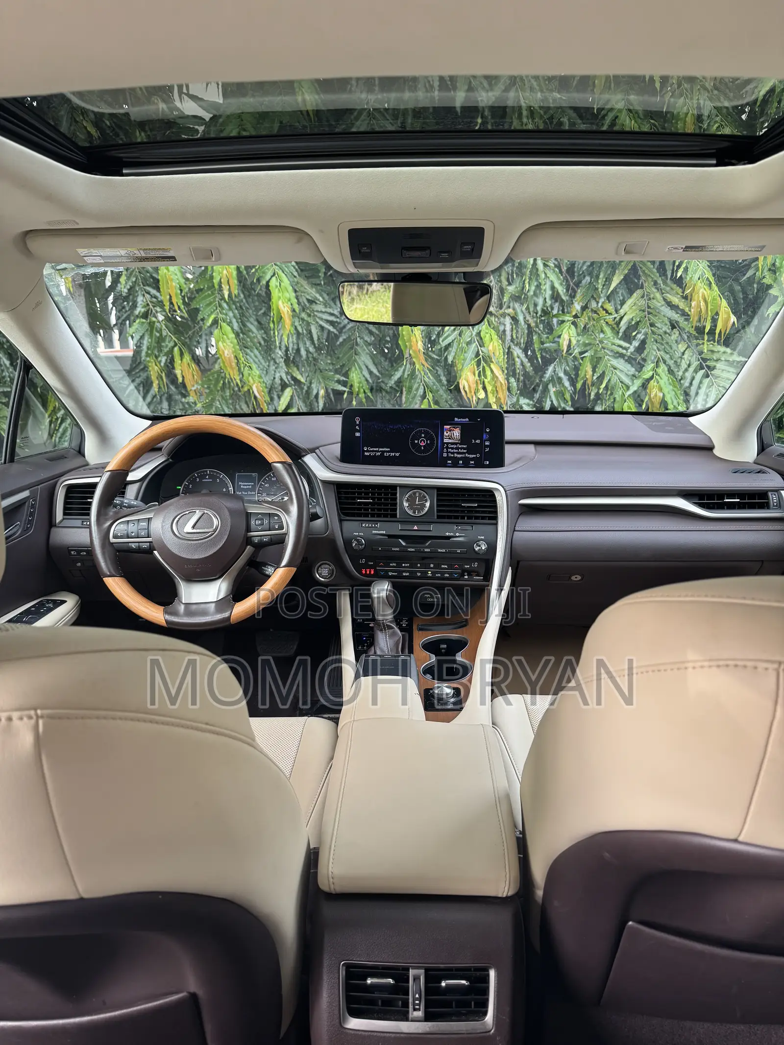 Lexus RX 2020 Blue