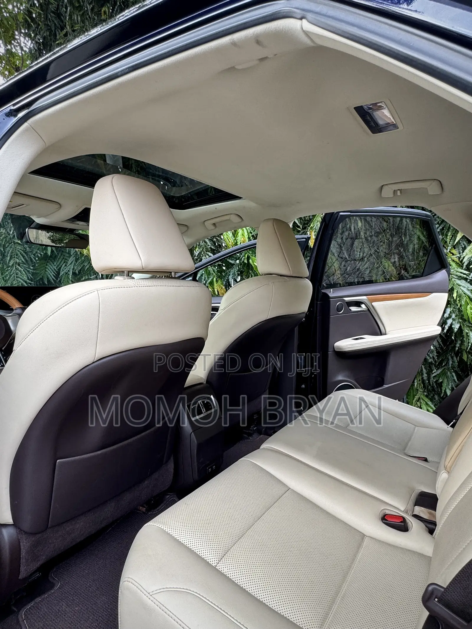 Lexus RX 2020 Blue
