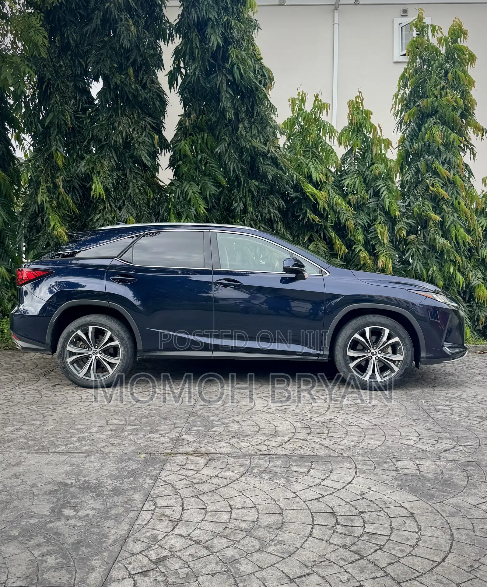 Lexus RX 2020 Blue
