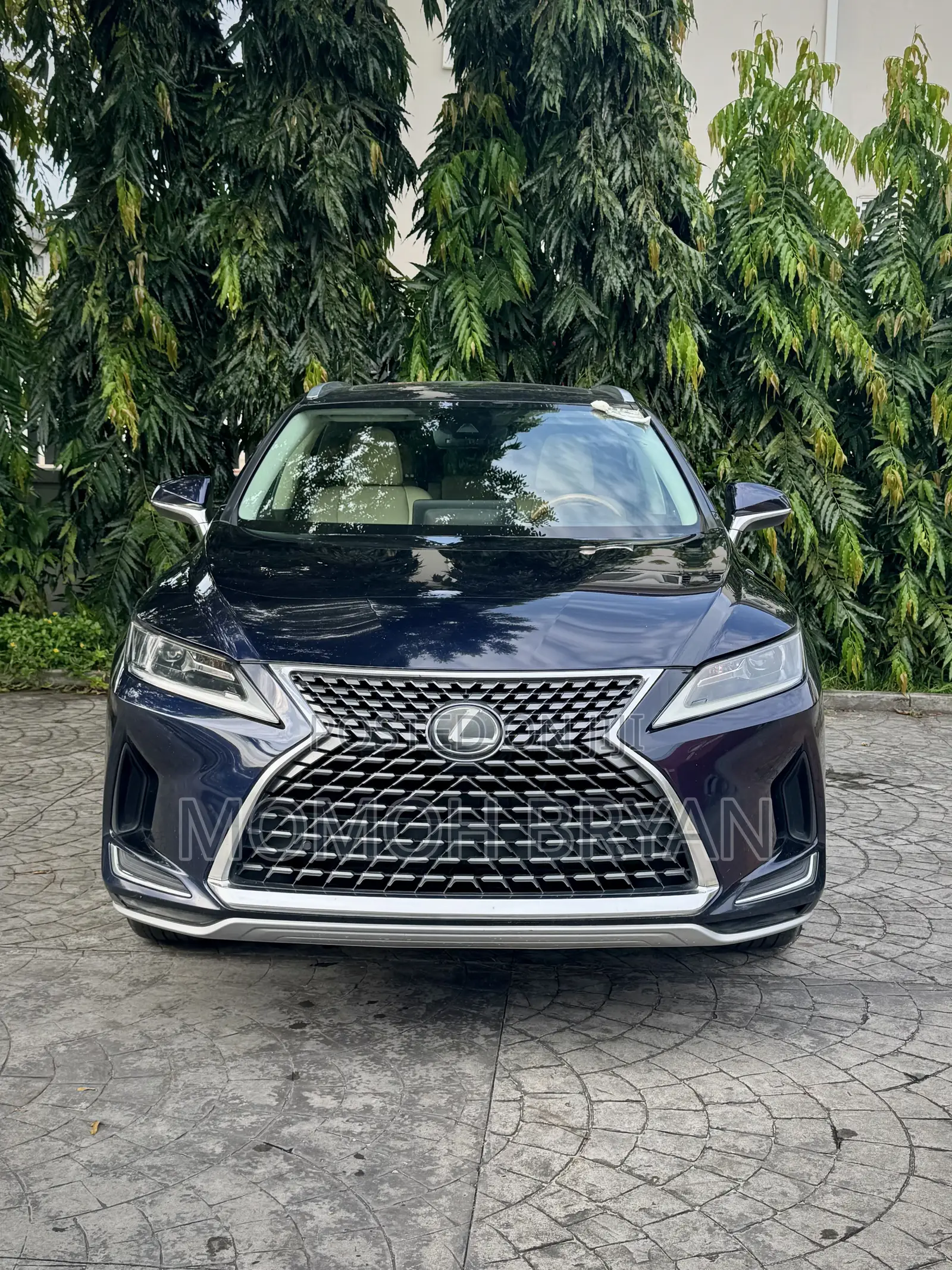 Lexus RX 2020 Blue