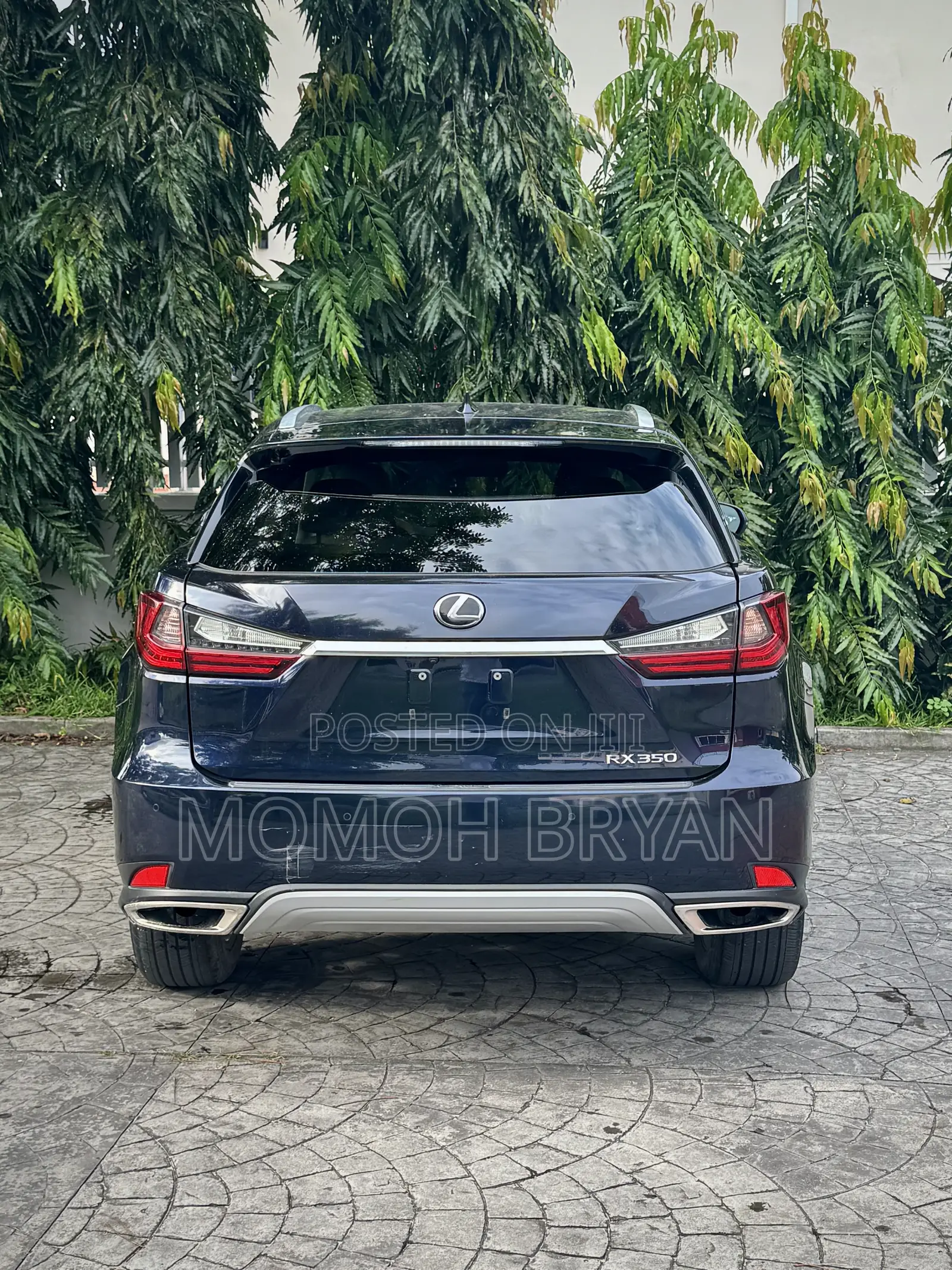 Lexus RX 2020 Blue
