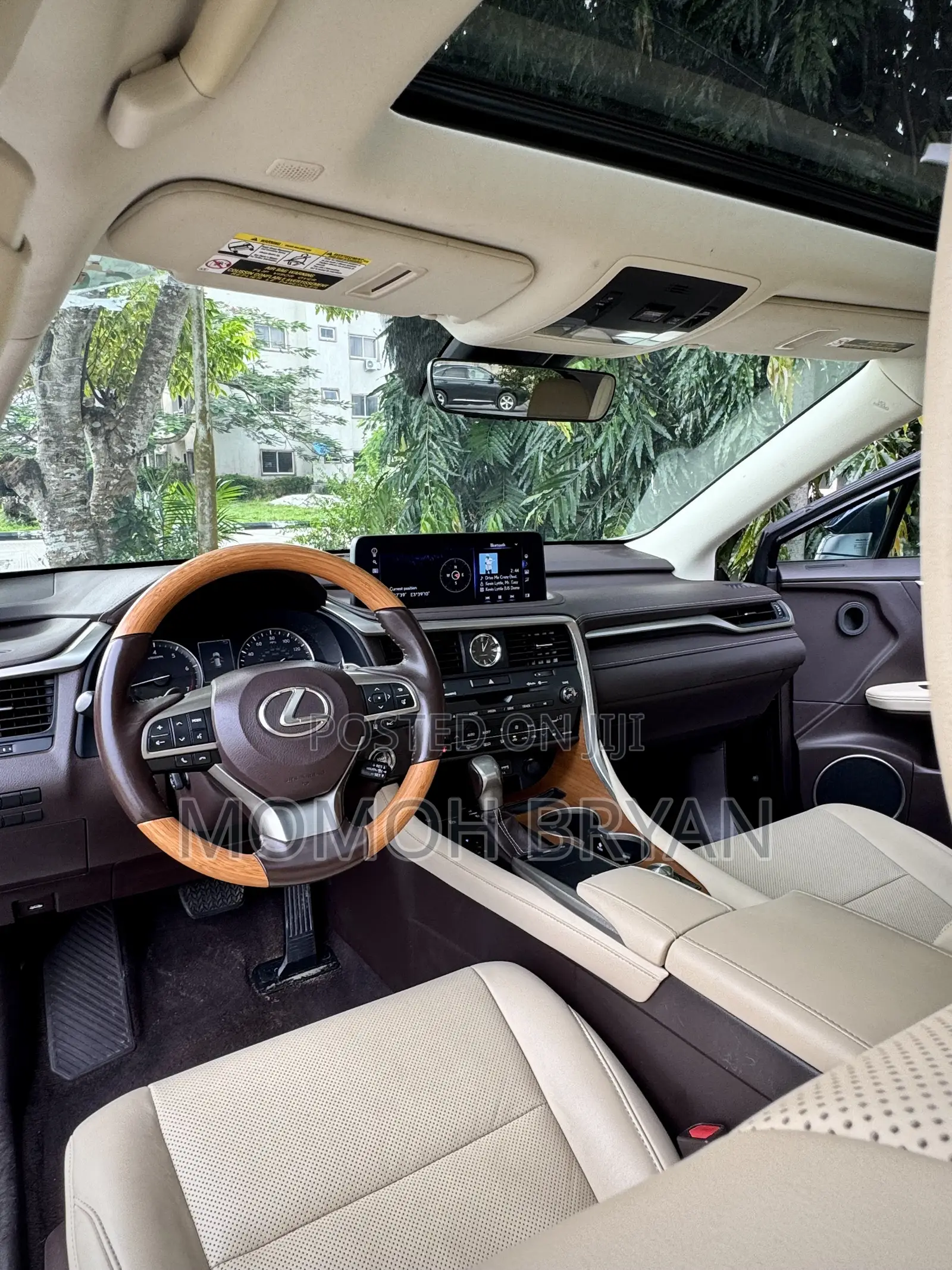 Lexus RX 2020 Blue
