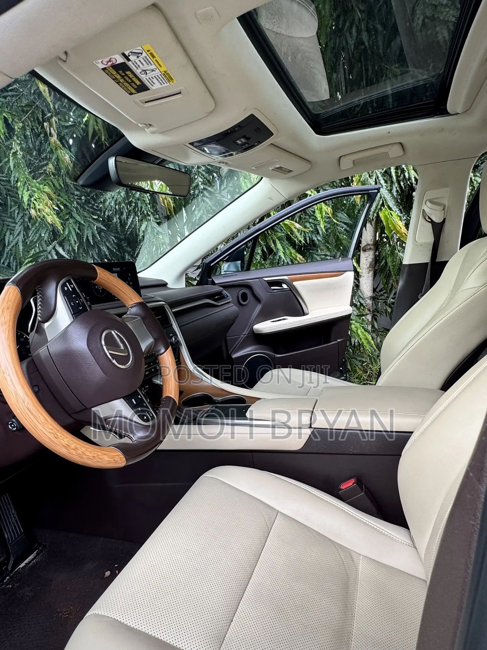 Lexus RX 2020 Blue
