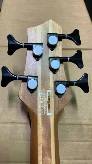 Givson Five String Active Bass Guitar