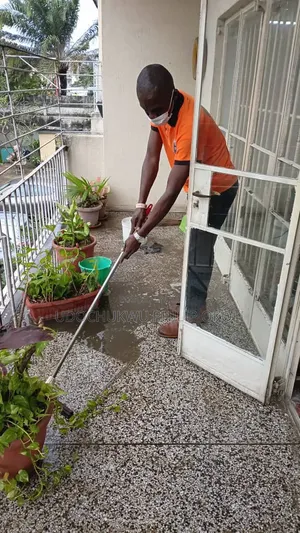 Professional Deep Cleaning