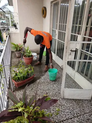 Professional Deep Cleaning