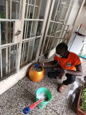 Professional Deep Cleaning
