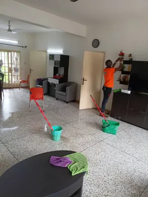 Professional Deep Cleaning