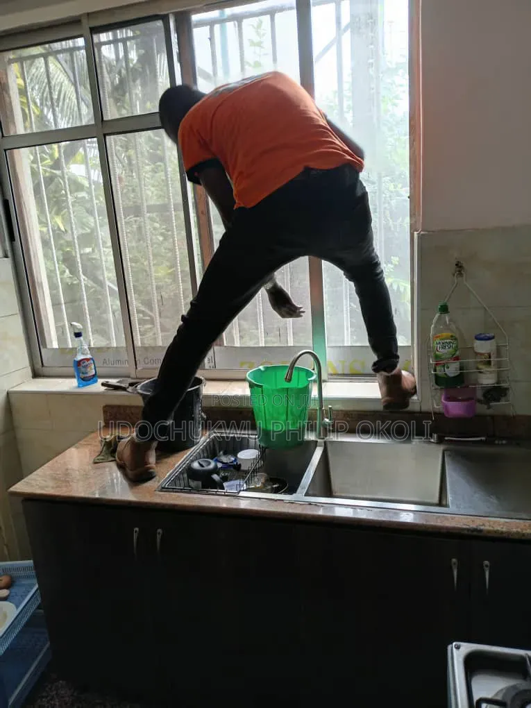 Professional Deep Cleaning