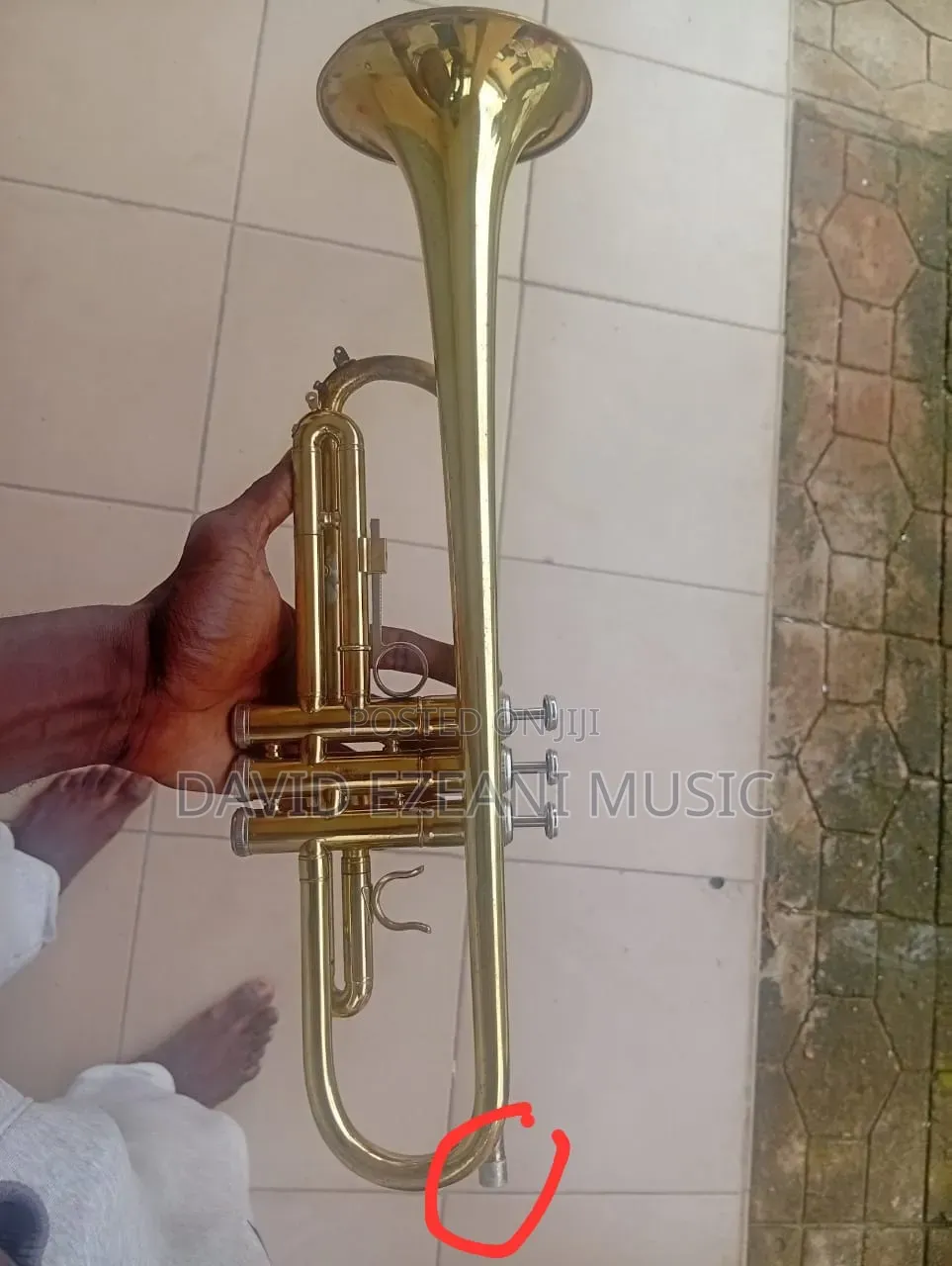 Bb Trumpet