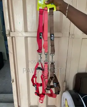 Dog Favor Harness and Lead 2.5*120cm (0017P)