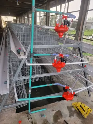 96 Set Capacity Imported Battery Cage
