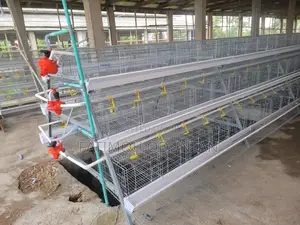 96 Set Capacity Imported Battery Cage