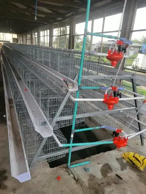 96 Set Capacity Imported Battery Cage