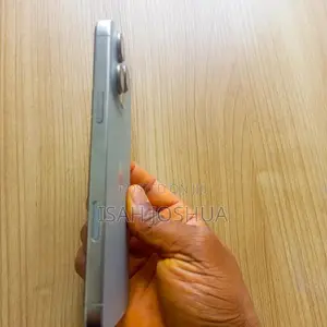 Apple iPhone 16 Pro Max 256 GB Gray