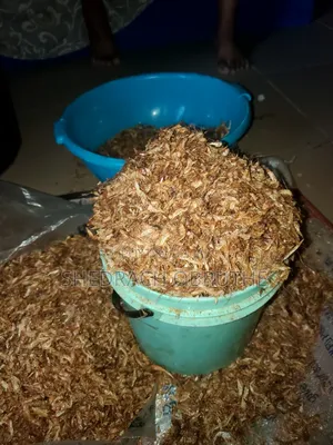 Seafood Crayfish