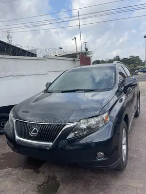 Lexus RX 350 2010 Gray