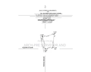 Building and Surveyor