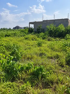 Land Property