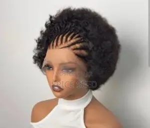 Braided Wig