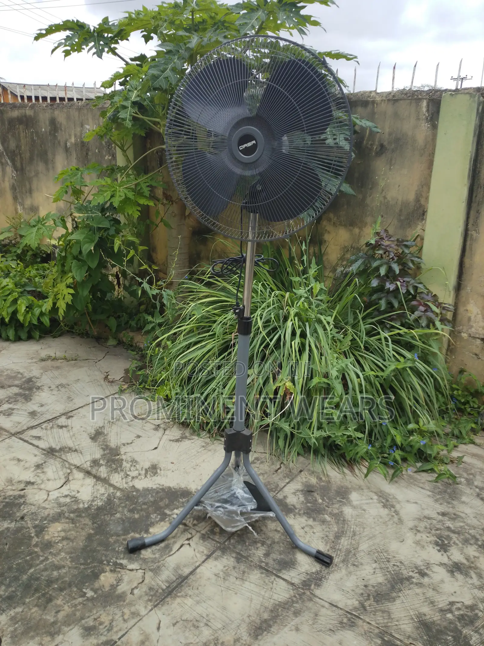 Standing Fan