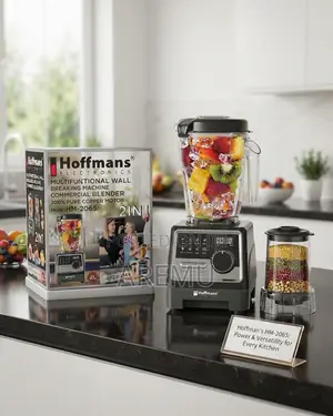 Hoffmans Multifunctional Wall Breaking Machine Blender