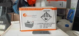 Felicity Lithium Battery 24volt