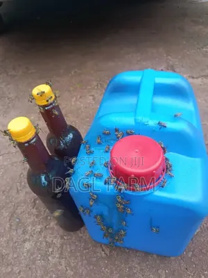Original Bush Honey