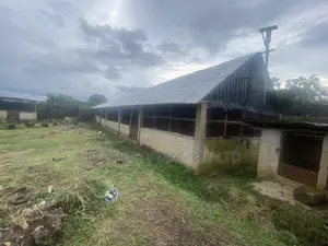 Farm for Sale at Umuahia