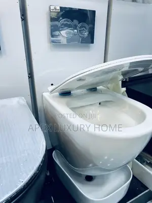 Wall Hung Wc White Color