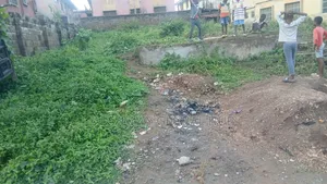 Direct Standard Plot of Land for Sale