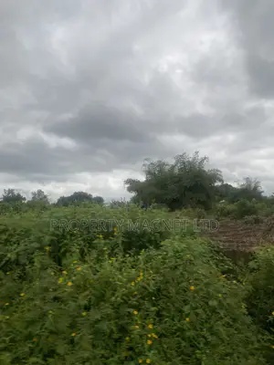 1 Plot at Lodu Ibeku for Distress Sale