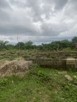 2 Plots for Sale at Amuoba Housing Estate