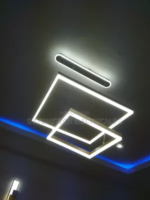 Professional Electrician