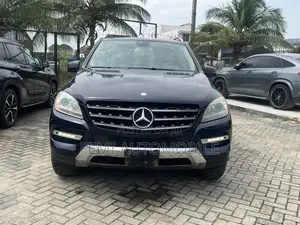 Mercedes-Benz M Class 2015 Blue