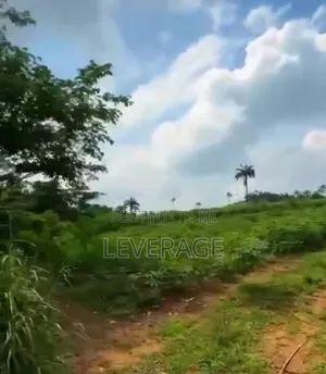 Own a Land in Omu-Epe Closer to Lagos Food Hub Gateway Airport